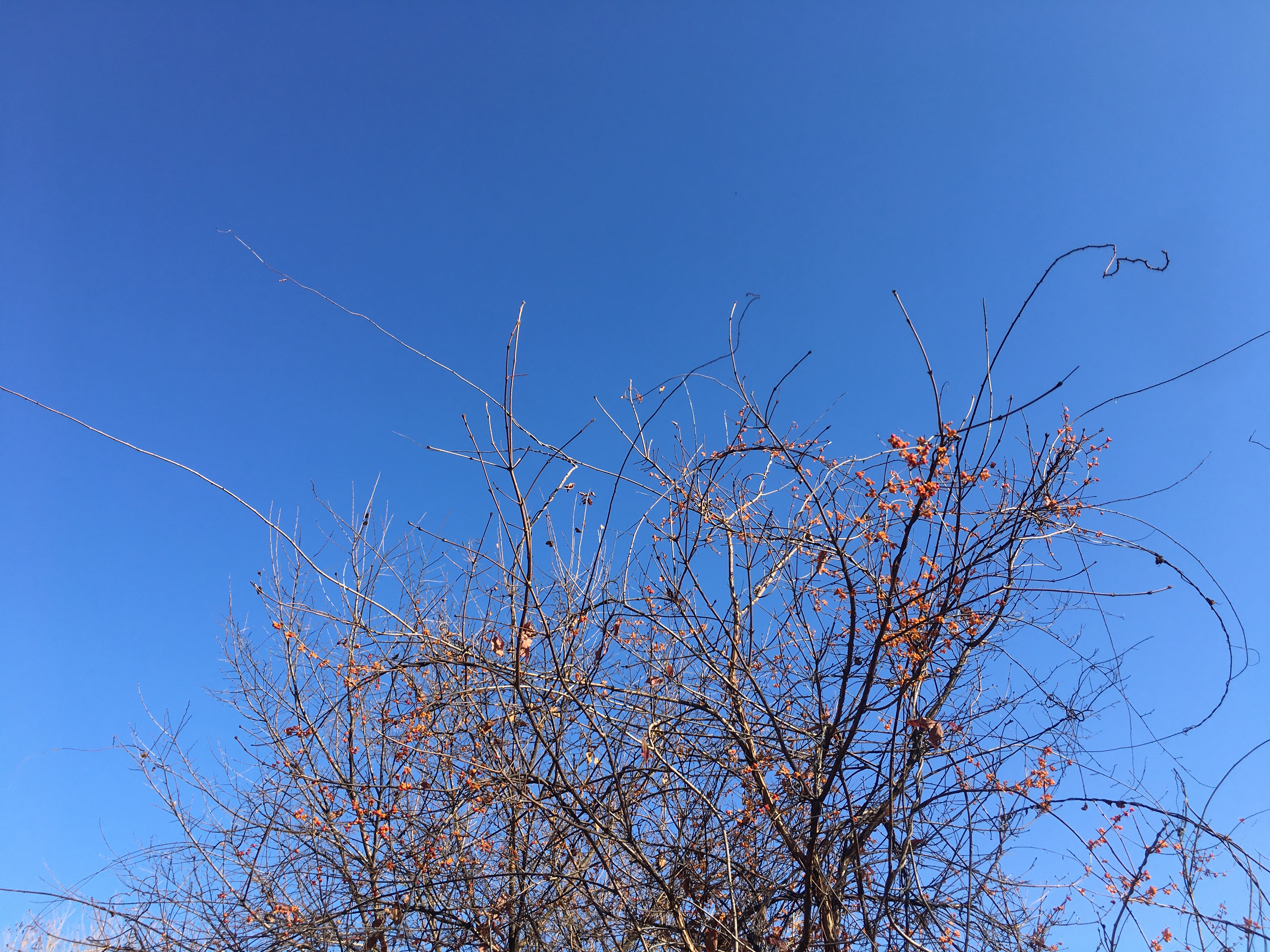 济颠 日出日落,夕阳西下,陪伴的是光芒与期待