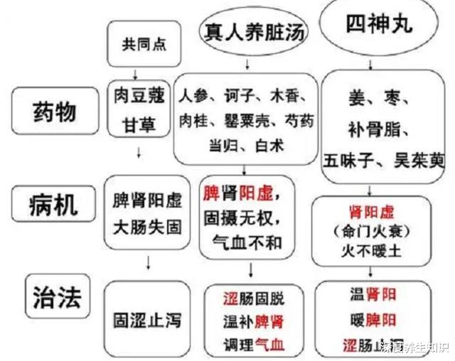 深度养生知识|学习方剂:熟悉一下“真人养脏汤”,它的“固涩”如何理解?