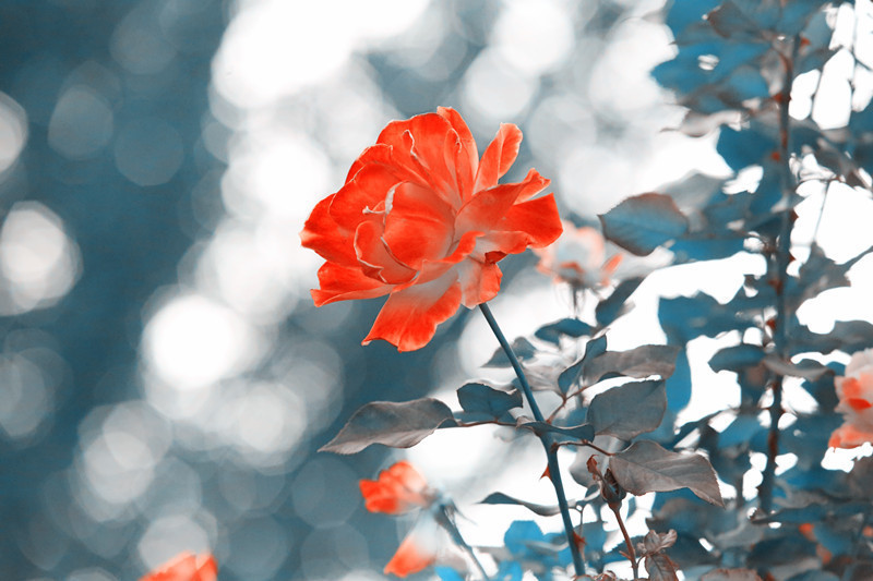 遇见小媛 想要翻身，一定要改掉四个让你穷一辈子的坏毛病