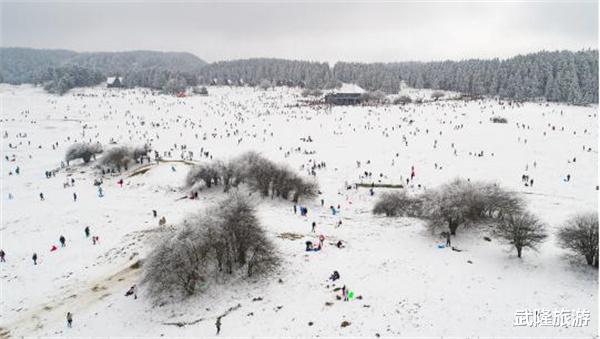 剧本杀|新年好彩头！2022元旦首日仙女山赏雪滑雪人气旺?