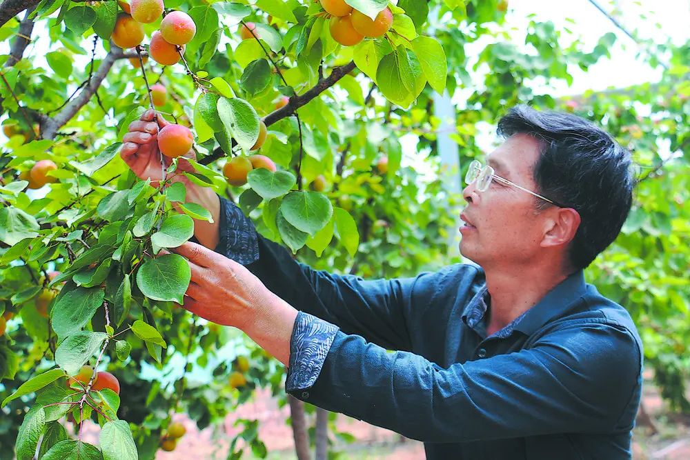 郓城县广播电视台 郓城县坡里何庄村：村美民富产业兴