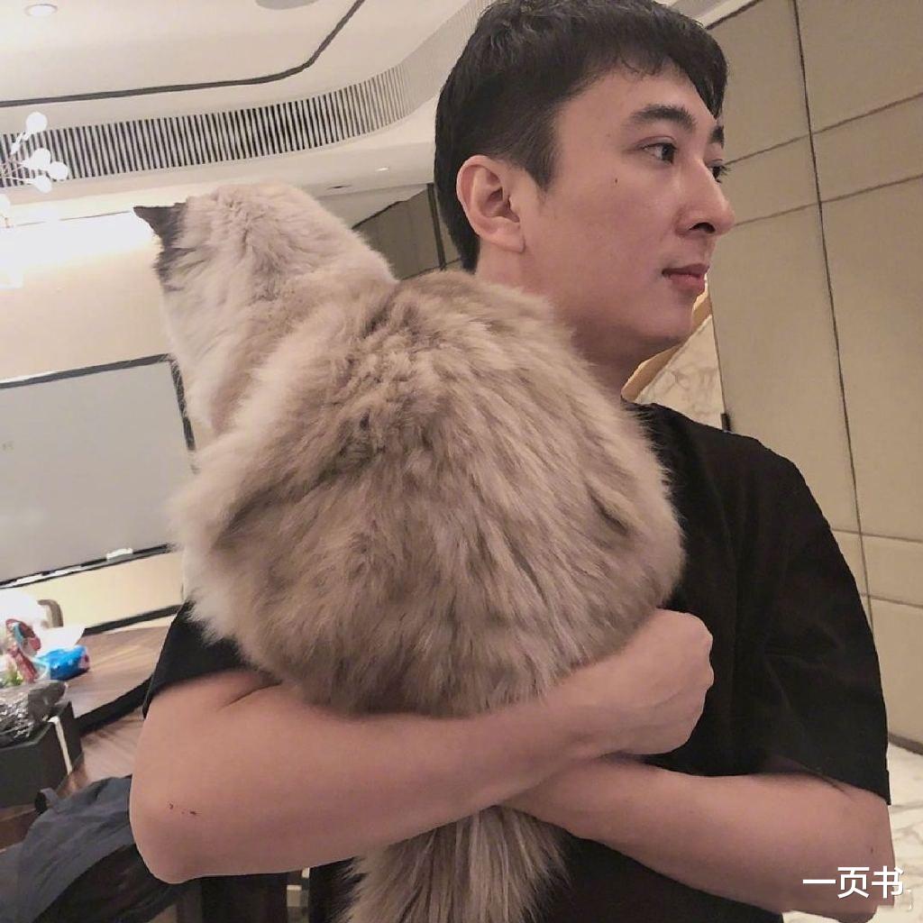 王思聪|王思聪用事实证明,就算会土味情话、就算有钱,也有撩不到的妹子