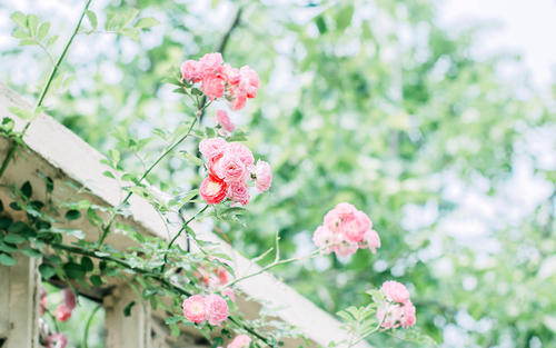 方圆先生 40岁，如何积攒600万的现金