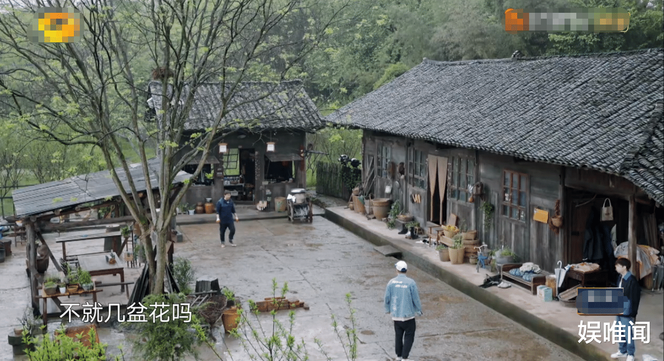 黄磊|《向往5》彭昱畅离开，自身重要性立马显露，黄磊的感受应该最深