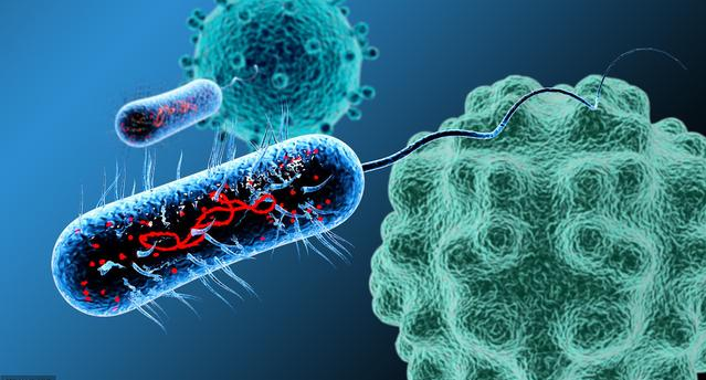 失眠|中医“三味药”却是“治癌宝典”，每天坚持用癌细胞越来越少
