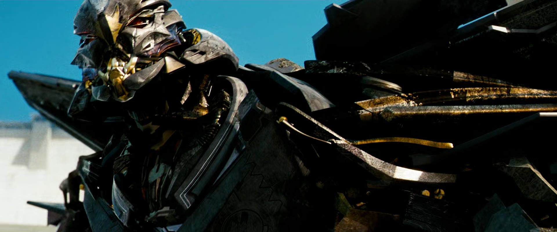 蜘蛛 只有胆小才能活下去,红蜘蛛的至理名言,不然怎么混到老二的位置