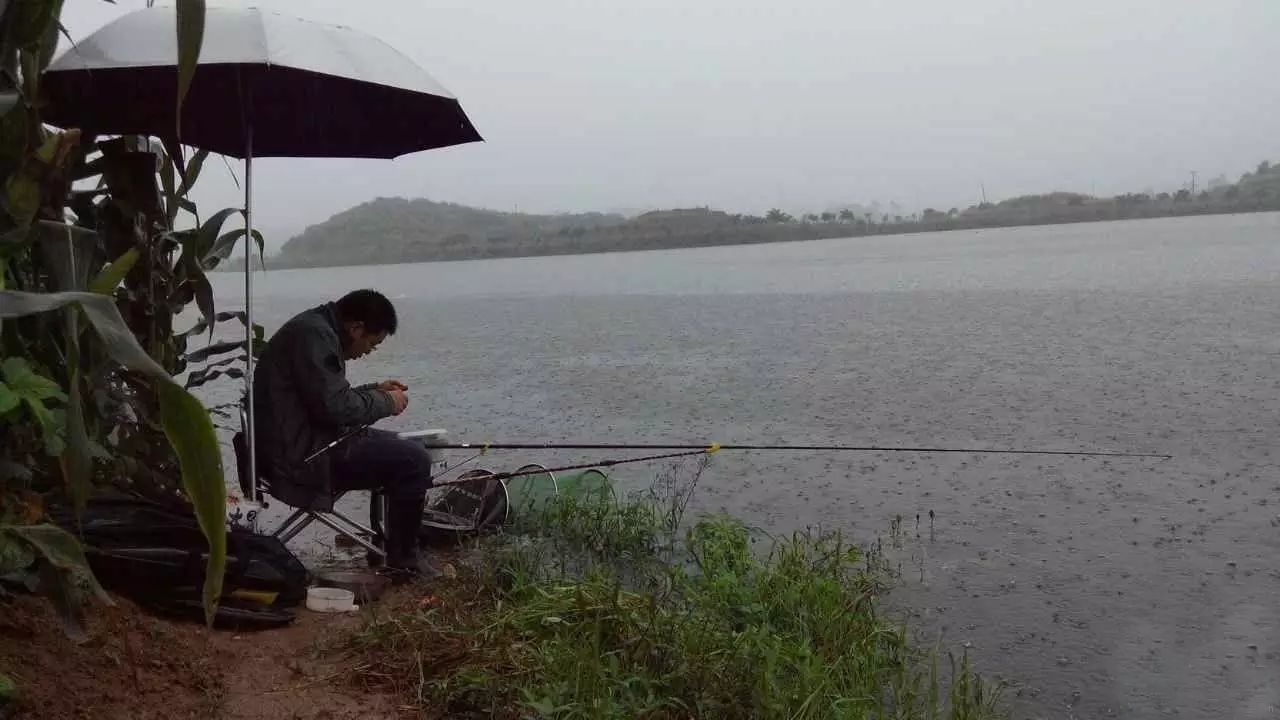 暴雨|只要不是这五种情况，只要是下雨天，都是适合钓鱼的