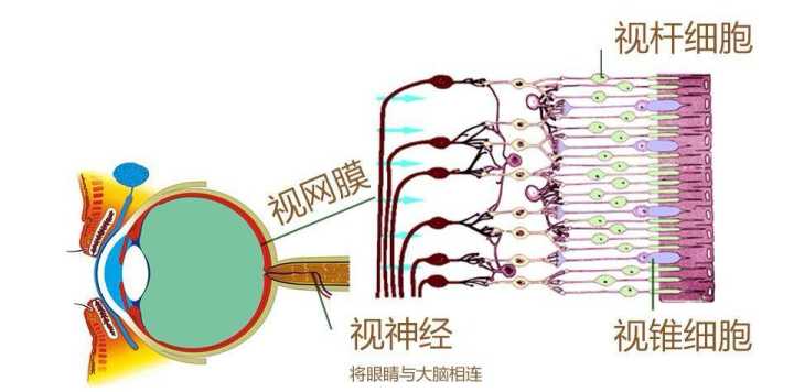 恒星 白天看得远还是夜晚看得远？仔细一琢磨，夜晚比白天看得远多了