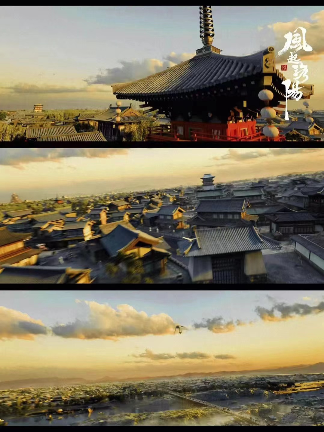 钟丽缇|风起落阳会不会是今年的一匹黑马？