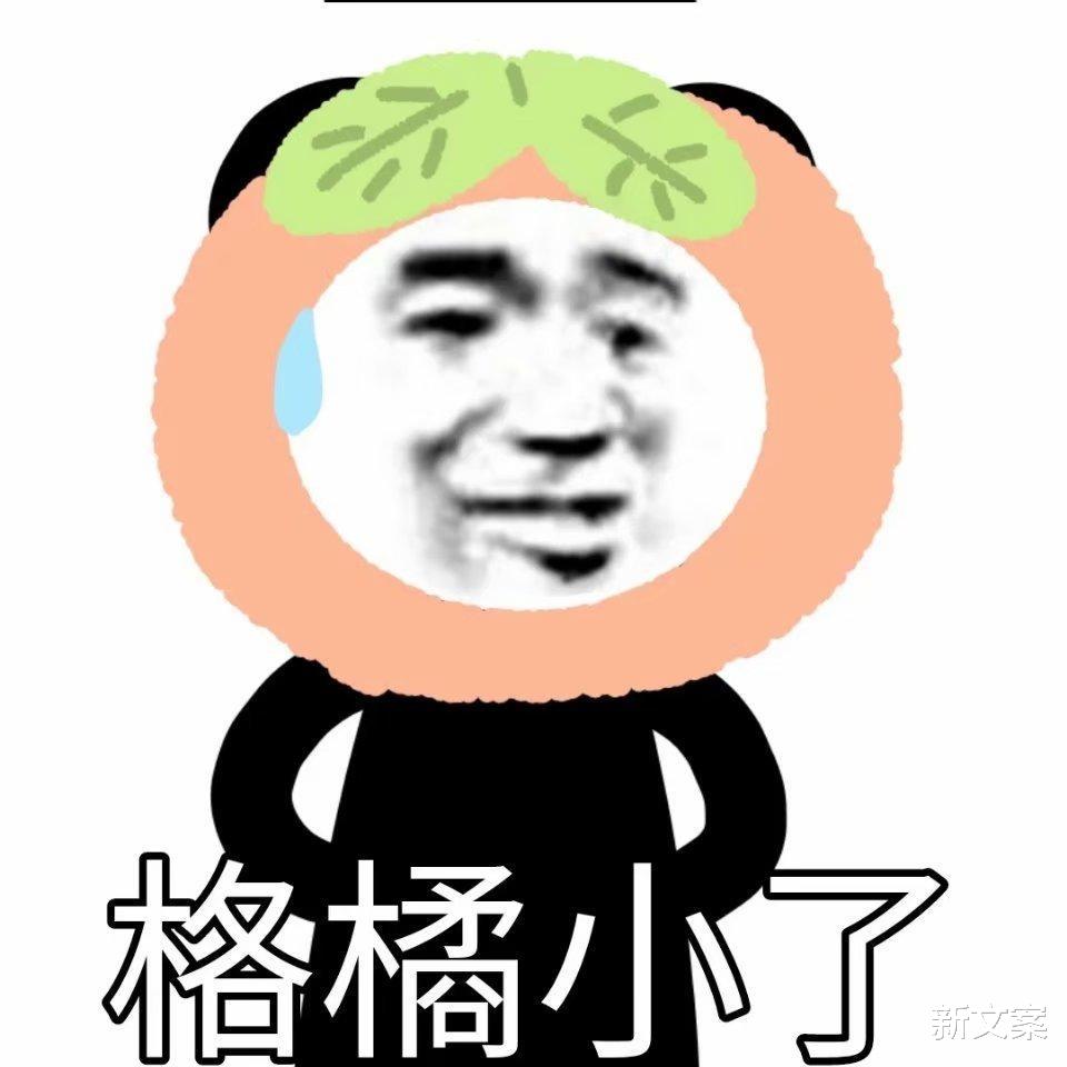 身份证|稀有姓氏这么“焯”？哈哈，是时候亮出我的身份证了