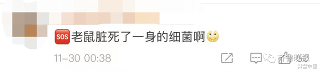 口腔溃疡|老鼠油可以治烫伤?一男童因此住进ICU!这些偏方不能信