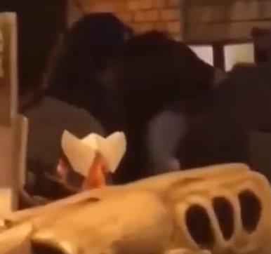 李诞|被央视怒批后，李诞的“报应”来了，节目停播、和妻子疑似婚变