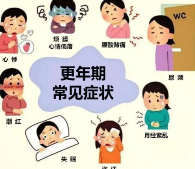 疾病|更年期的“知音”被发现,豆浆排在末尾,医生:若你爱吃,睡得香老得慢