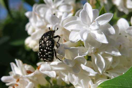 宇录良言|通透走心的人生感悟短语,精致深刻,句句受用