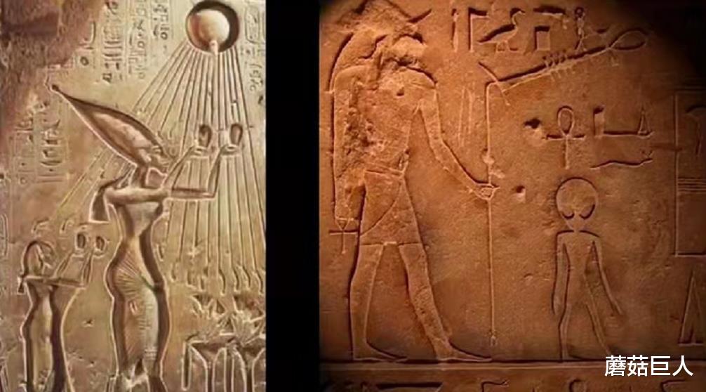 基因 让人无法信的基因检测，战败异星人受困地球，人类无形再添谜团