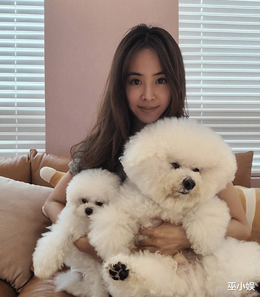 蔡依林|陈奕迅终止与阿迪合作，蔡依林不解约，余文乐成新晋代言人