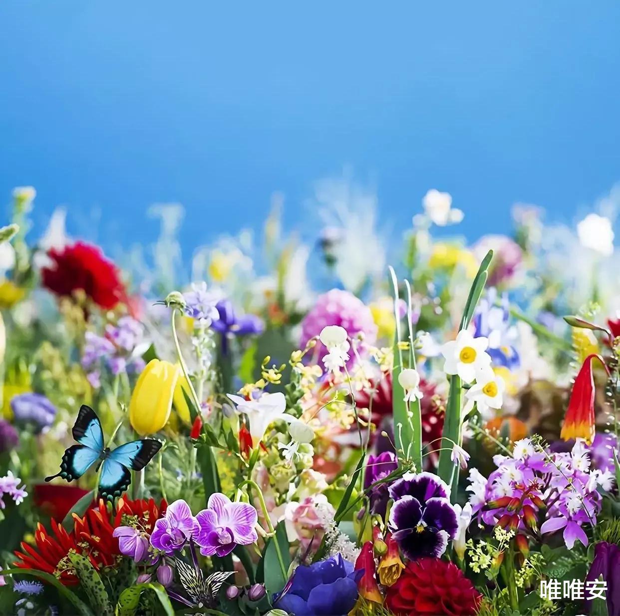 唯唯安|走一路才看透:好的人生,不会因别人的步伐比你快,而慌张