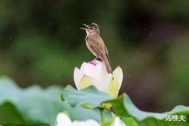 |当你老了，方才知道，靠山只有一个人