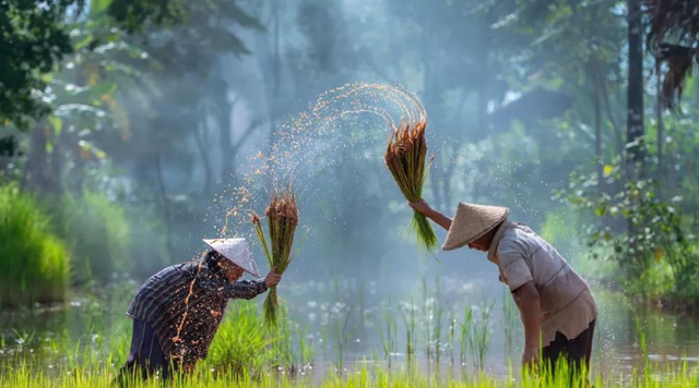 花颜有情兮 勤劳的中国人，给了外国人很大的压力？诺奖得主：他们令人敬佩