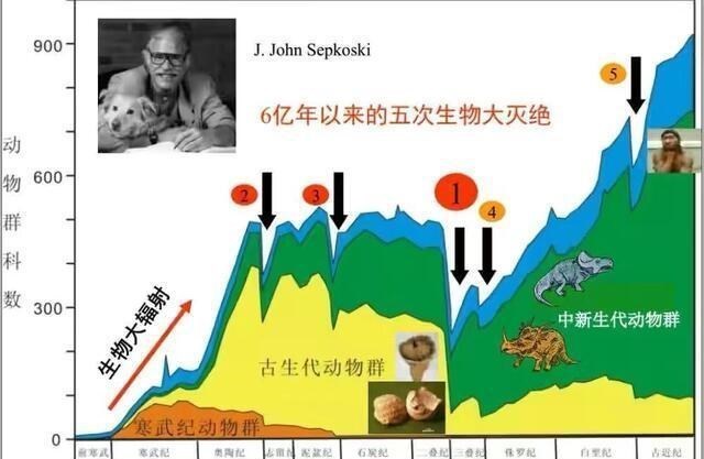 陨石 太阳伴星，2600万年转回一次，或是它导致了生物灭绝的周期性