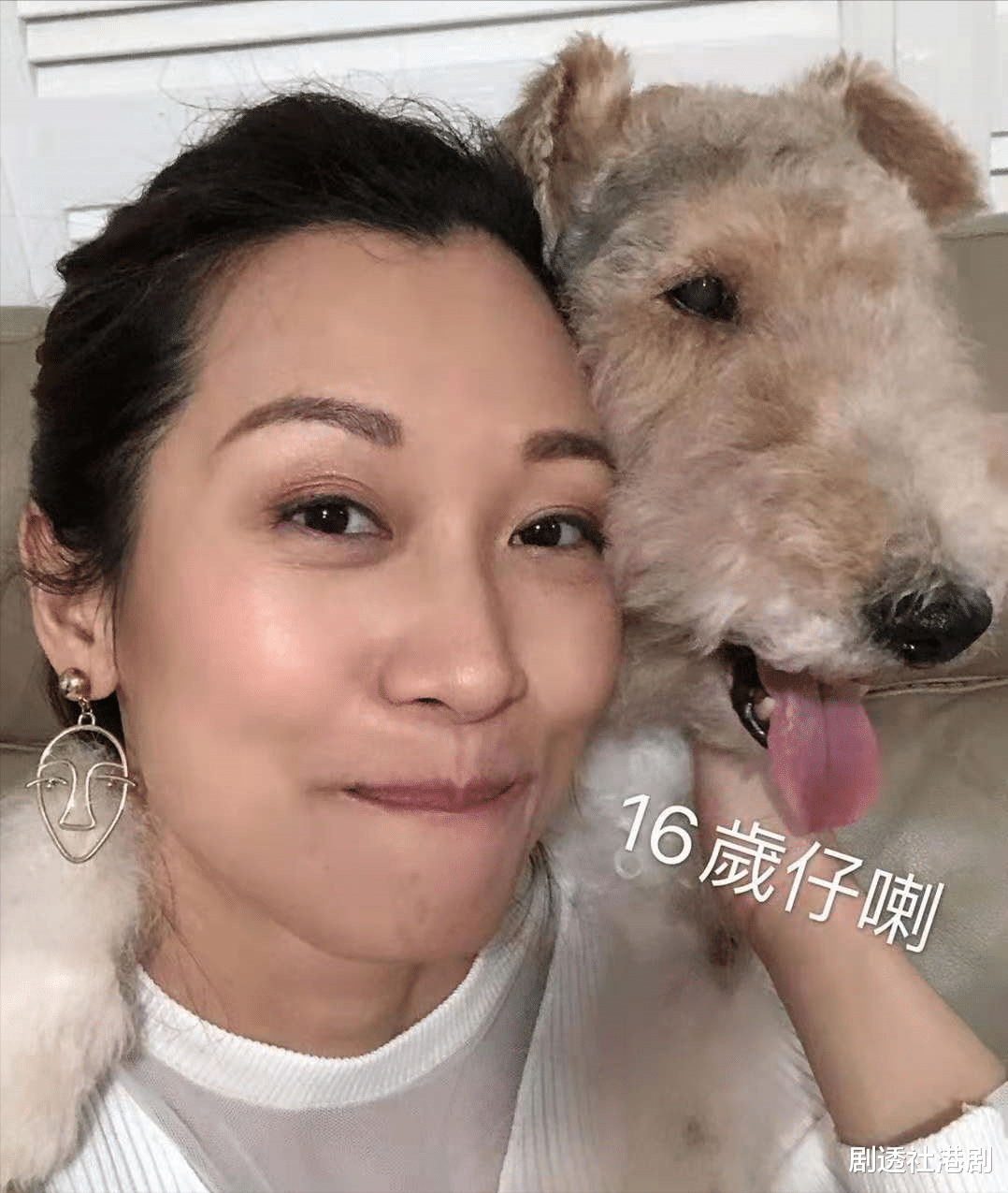 TVB|“首席创意官”王祖蓝大搞惜才政策，狂邀“前朝弃将”回归救收视