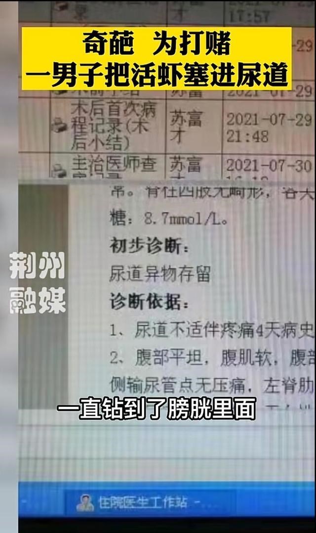 阳光语言矫正说|为了和朋友打赌,男子竟把活虾塞到自己的尿道里!也是醉了