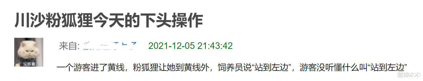 贝儿|玲娜贝儿光速翻车!因对男女游客态度差别大,被网友怒斥太下头了