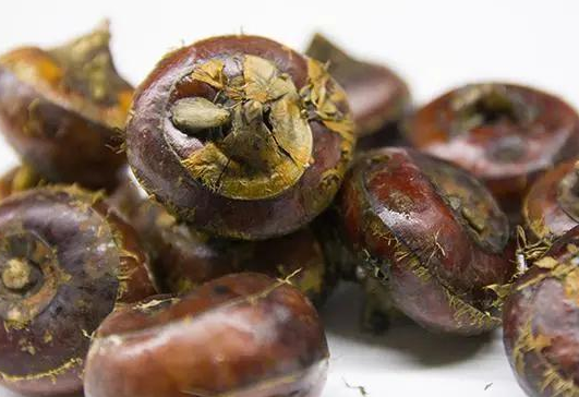 医生|肺不好，经常吃点养肺菜，多喝2种水，对你肺有好处