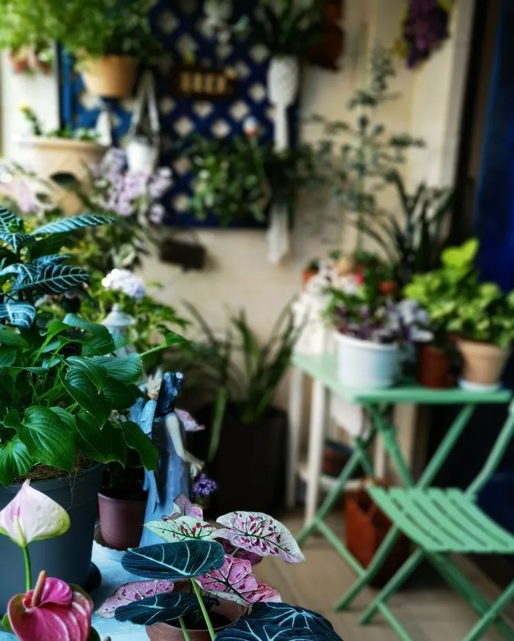 6㎡封闭阳台造花园，1寸空间也不浪费，不出门也能看风景