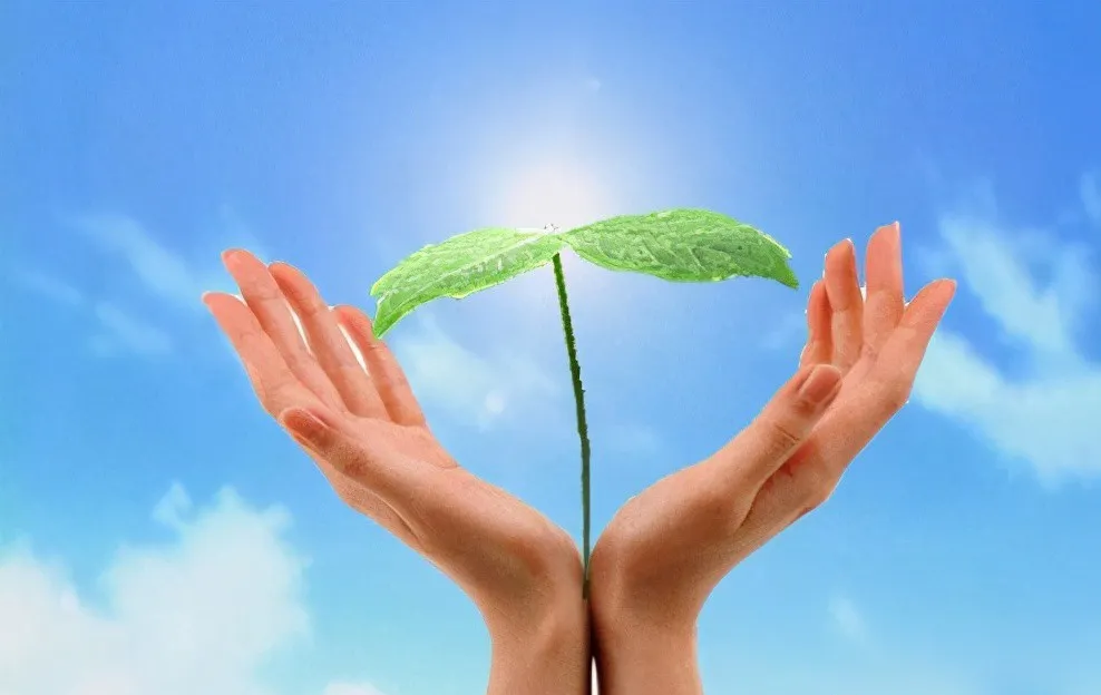 玄何风水|抓住好运尾巴，年岁越大，钱财越多的生肖