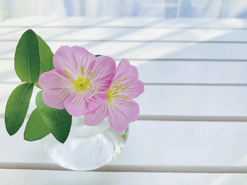 舜网 “暴走妈妈”陈玉蓉手术成功，却陷入整容风波？如今咋样了