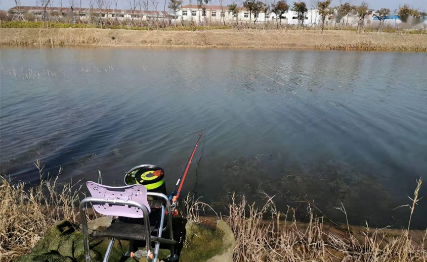 民警|仲春一到,鲫鱼反而不好钓?老司机说出了其中的奥妙:不该钓底