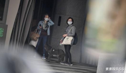 刘敏涛|婆婆去月子中心探望林依晨，开百万豪车手拿礼物，对儿媳妇很贴心