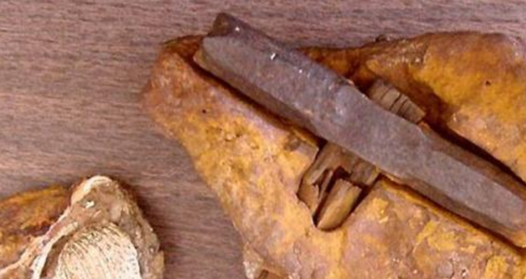 电影 距今15万年的百米铁管贯穿山体，白公山“外星人遗址”，至今未解