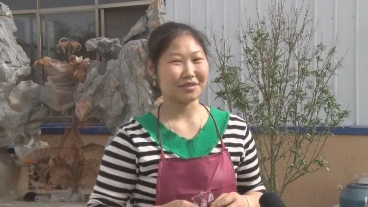 成武融媒 返乡创业显身手，乡村振兴添活力