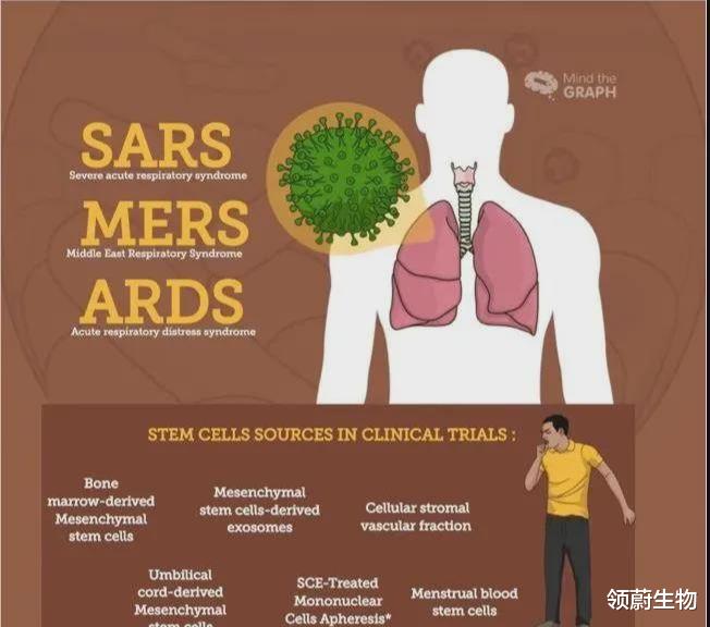 苏铁 连续获得临床批件！国内间充质干细胞转化应用将走向大众