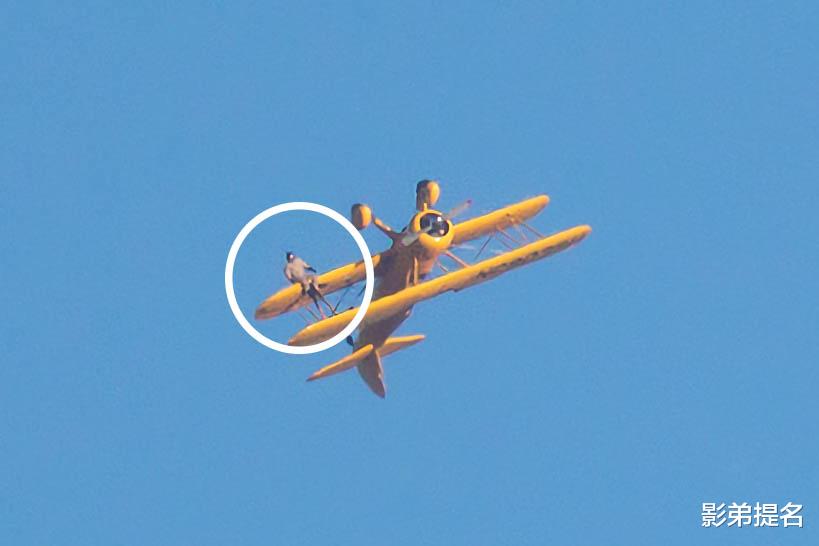 李沁|阿汤哥成影史第一人，《碟中谍8》将在外太空实景拍摄