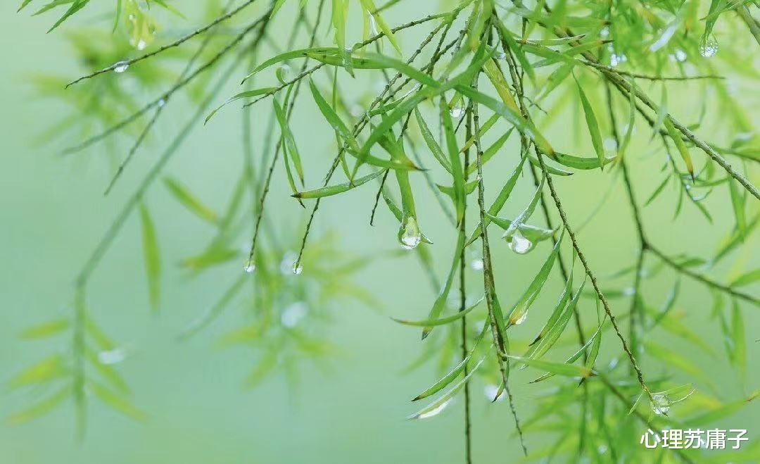 心理苏庸子 放不下一个人，不用断链，这样做最聪明