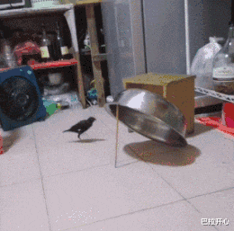 安神|“医生说消肿才给拔，半夜起来我就给拔了...”结果网友们都炸锅了！