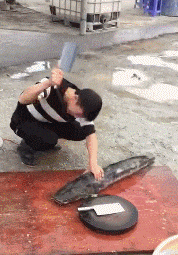 广州市 老婆跟领导出差，发来照片说在广州塔，朋友看了劝我离婚，为什么？