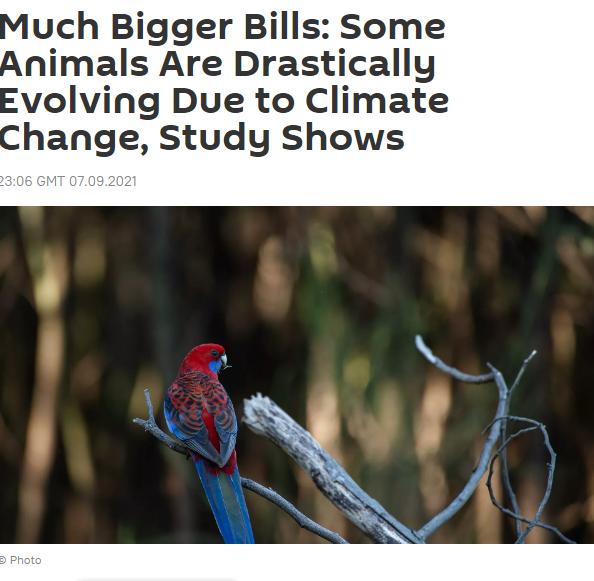 基因 气候变化让动物“变形”！澳洲研究称：一些动物正在快速进化