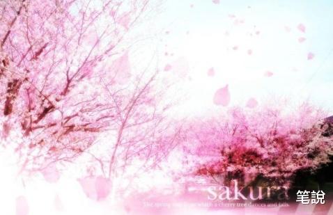  花开成海，相思成灾