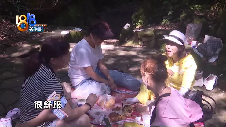 蝙蝠 蝙蝠洞里无蝙蝠，宝石山上有清凉