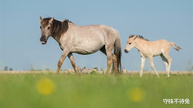 守株不待兔|乍看之下好像不该存在，但其实经过检验的21个有趣事实