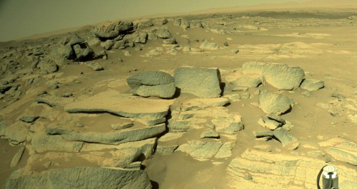 4亿公里外发现“第二地球”?科学家:发现“水库”和有机分子