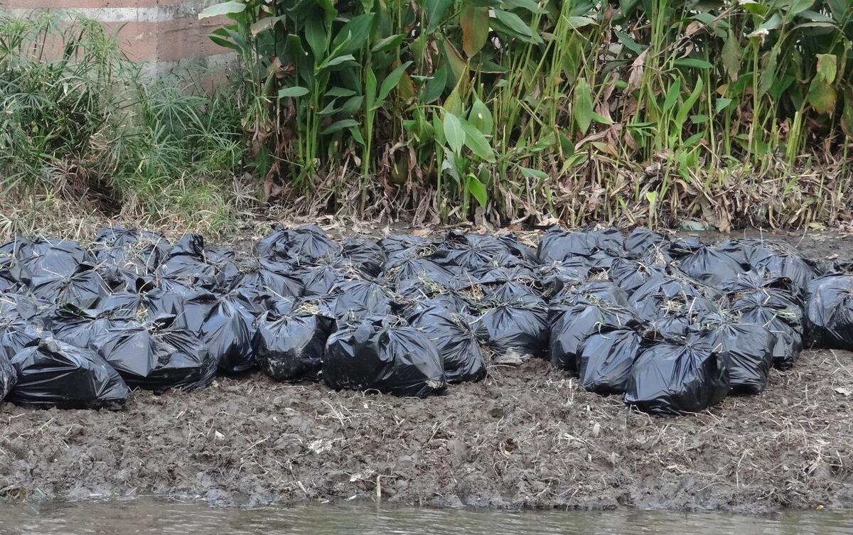 |钓鱼破坏性太强，应该推行全国禁钓！钓鱼人得罪了谁？