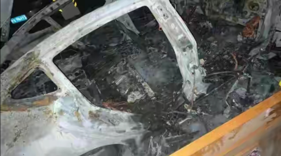 主人公 特斯拉起火事件复核结果出炉，各方均无责任！国家电网：看着我干嘛