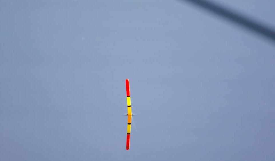 河南|全身黑中发绿！2003年河南老汉钓到“怪鱼”，专家怎么说？