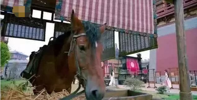 林心如|穿帮镜头：看了想撞墙，白娘子被他抢戏，林心如和演员在干嘛？