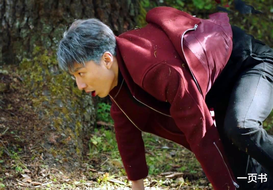 司藤|司藤：丘山大战司藤，受伤后寻到第二颗九眼天珠为何碎了？贾桂兰设的局